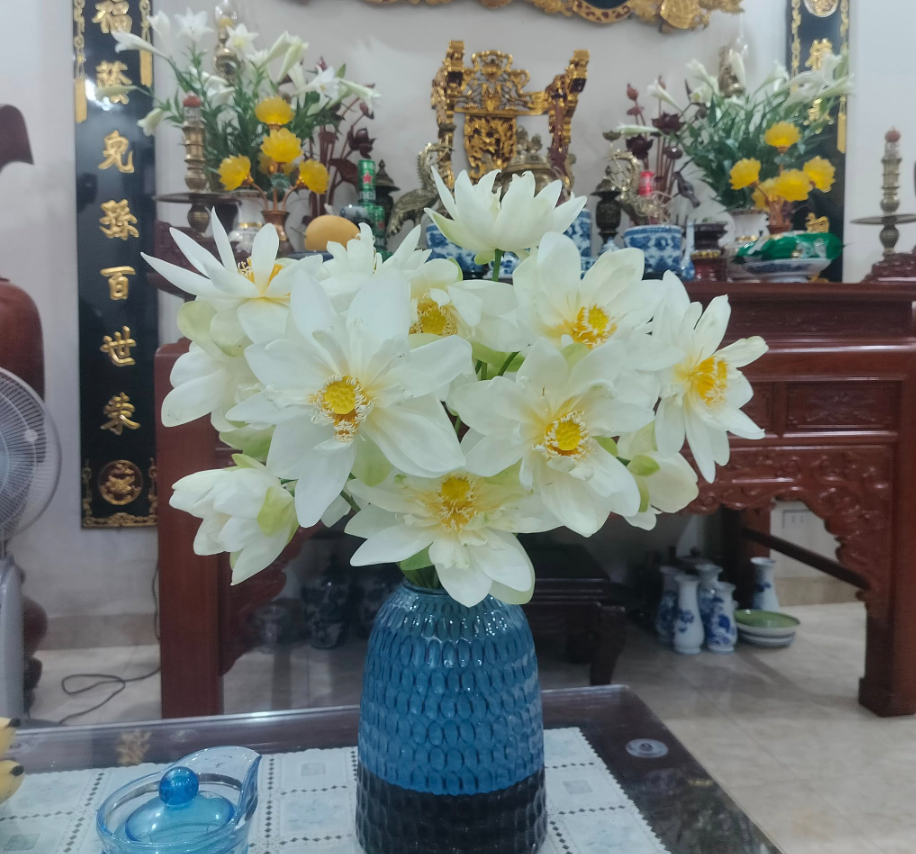 Lọ Hoa Sen Bạch Liên lá xanh ngọc